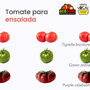 tomates para ensaladas