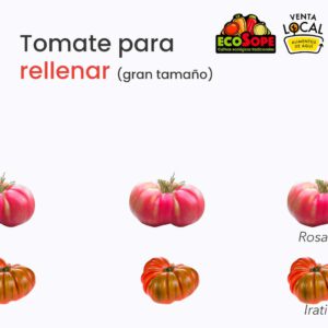 tomates para rellenar