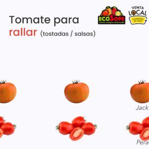 tomates para rallar